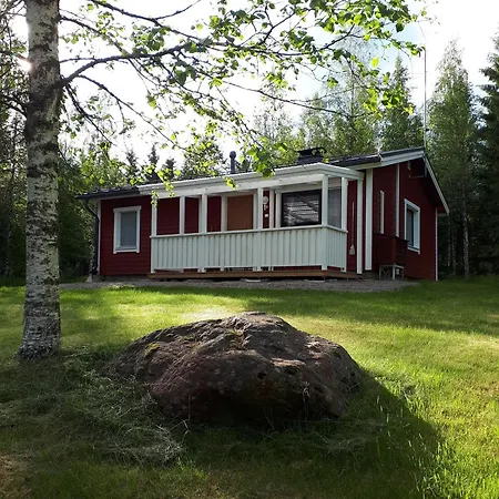 Nyaraló Teeri Birkhuhn-crater Varpaisjarvi